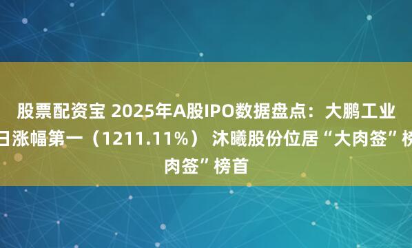 股票配资宝 2025年A股IPO数据盘点：大鹏工业首日涨幅第一（1211.11%） 沐曦股份位居“大肉签”榜首