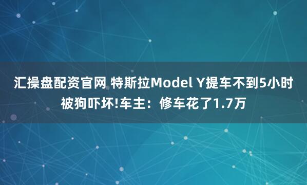 汇操盘配资官网 特斯拉Model Y提车不到5小时被狗吓坏!车主:修车花了1.7万